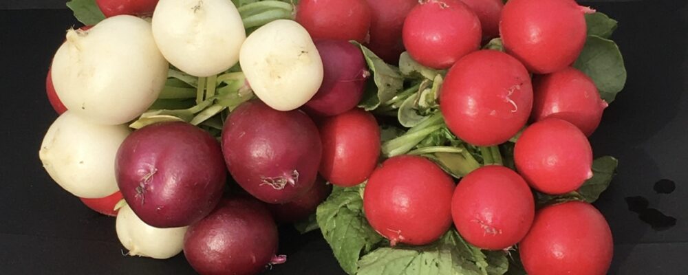 3BFE7EE7-BCFE-4A86-BBF2-77A9C9C52C8A_1_201_a